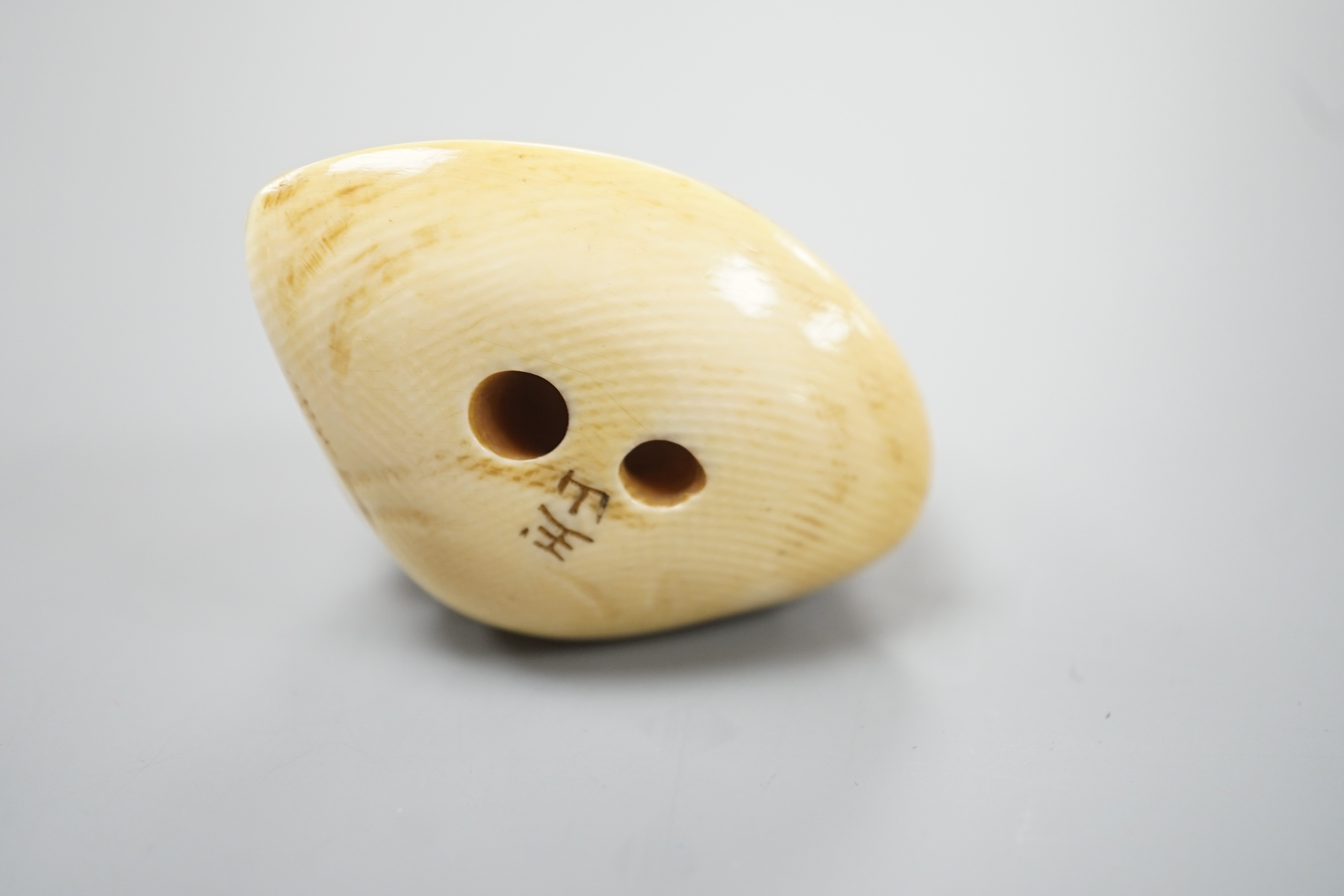 A Japanese ivory netsuke of a kappa on a clam shell, signed Gyokuzan, Meiji period, 4.8cm